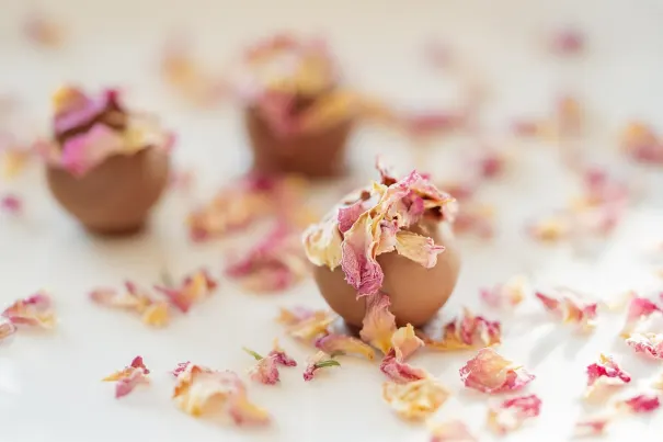 אנדרומדה קזינו אפליקציית Android/iOS